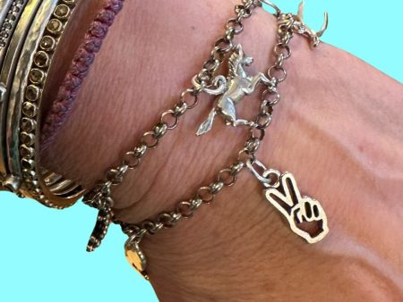 Sterling Silver Charm Bracelet Asst’d Styles Online Sale