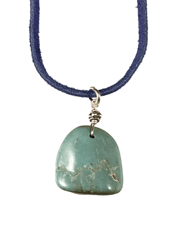 16  Turquoise on Colored Suede Necklace   2 Online Hot Sale